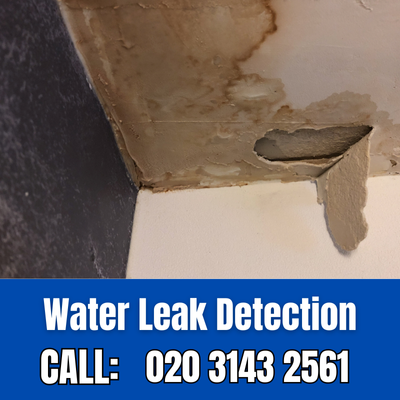 Expert Water Leak Detection Services in Whitechapel | Whitechapel Leak Detection